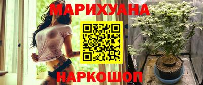 спайс Гагарин
