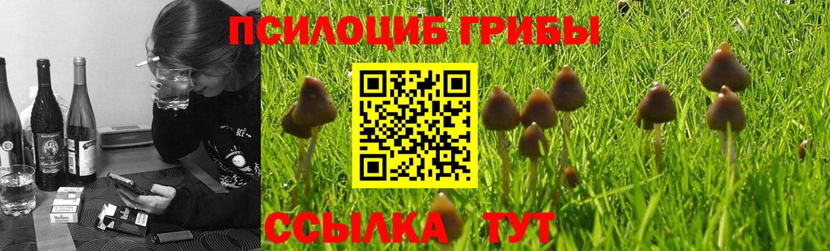 Галлюциногенные грибы Psilocybine cubensis  купить наркотики цена  Миасс  Вход с VPN 